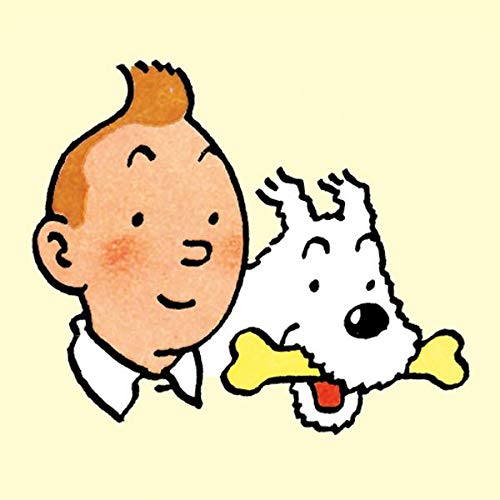 Tim und Struppi 