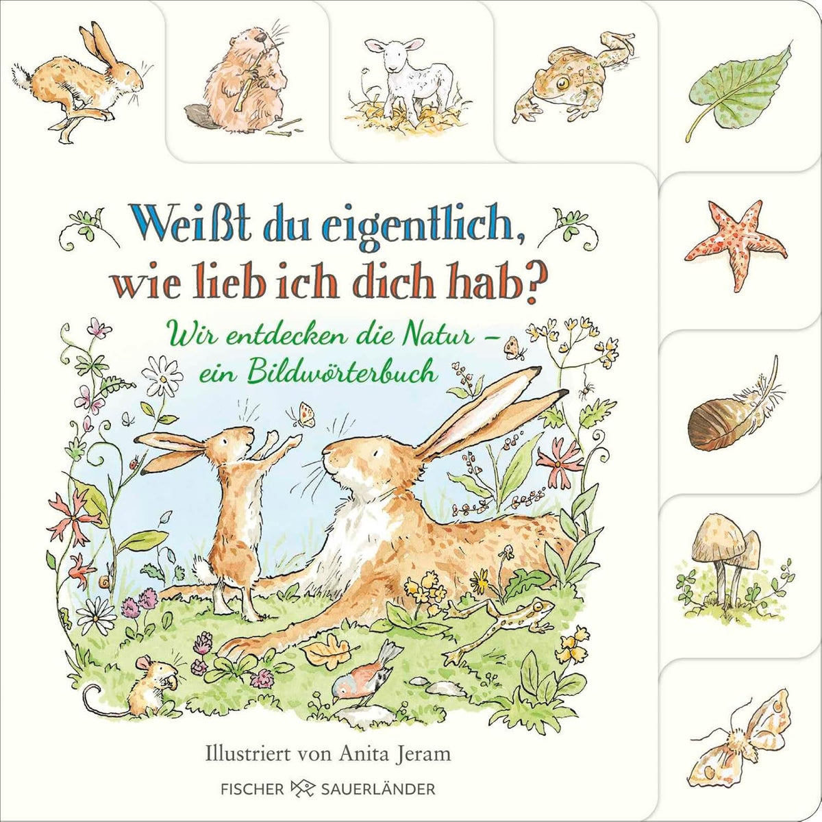 Weißt du eigentlich, wie lieb ich dich hab? Wir entdecken die Natur: Ein Bildwörterbuch