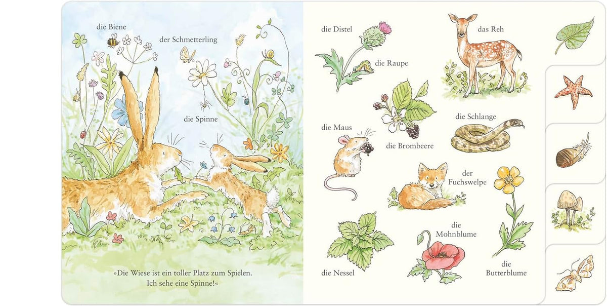 Weißt du eigentlich, wie lieb ich dich hab? Wir entdecken die Natur: Ein Bildwörterbuch