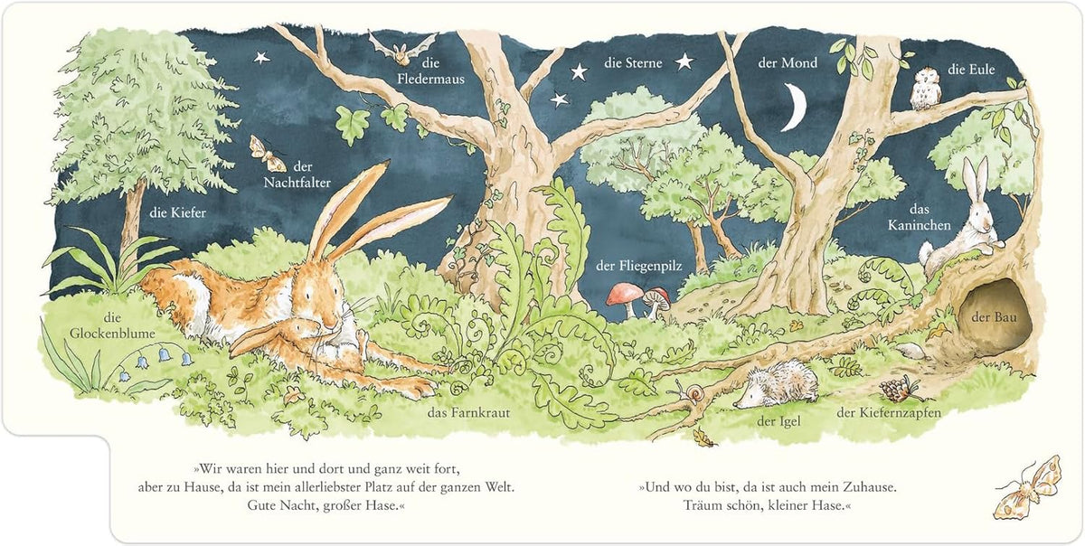 Weißt du eigentlich, wie lieb ich dich hab? Wir entdecken die Natur: Ein Bildwörterbuch