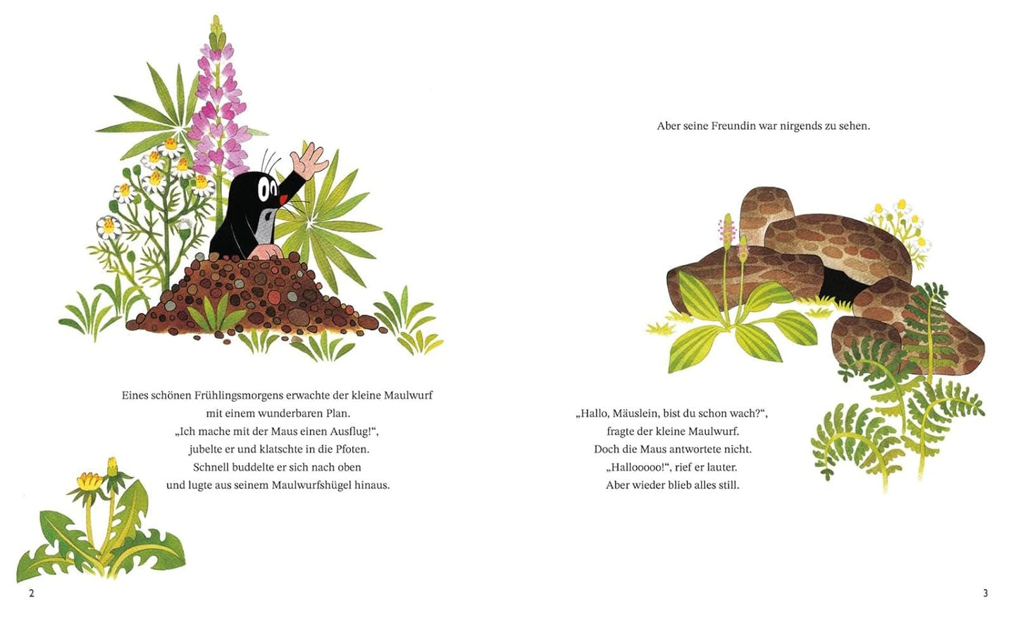 Wie der kleine Maulwurf das Mäuslein heilte
