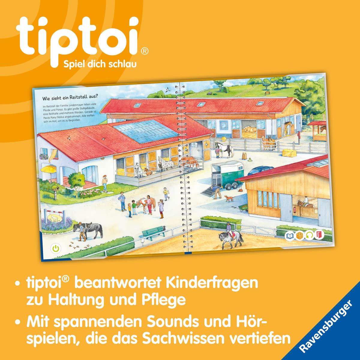 Wir entdecken Pferde und Ponys