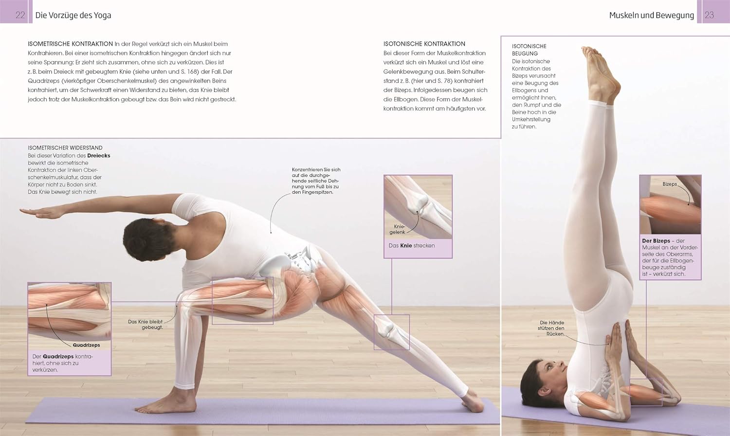 Besser leben mit Yoga - The German Bookstore ZA