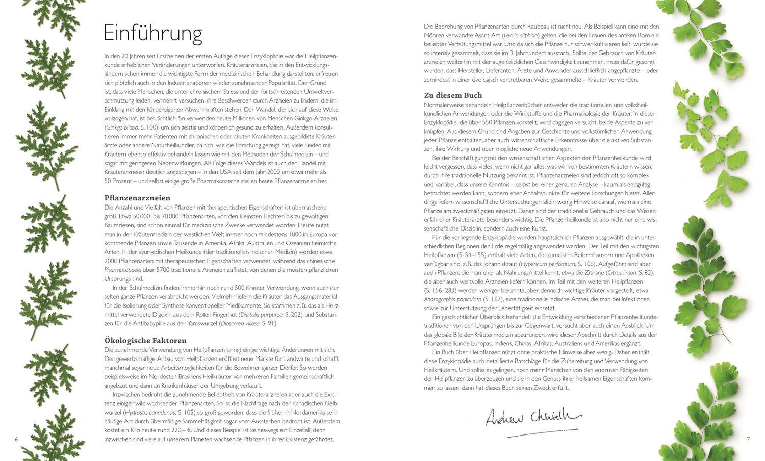 Das große Lexikon der Heilpflanzen - The German Bookstore ZA