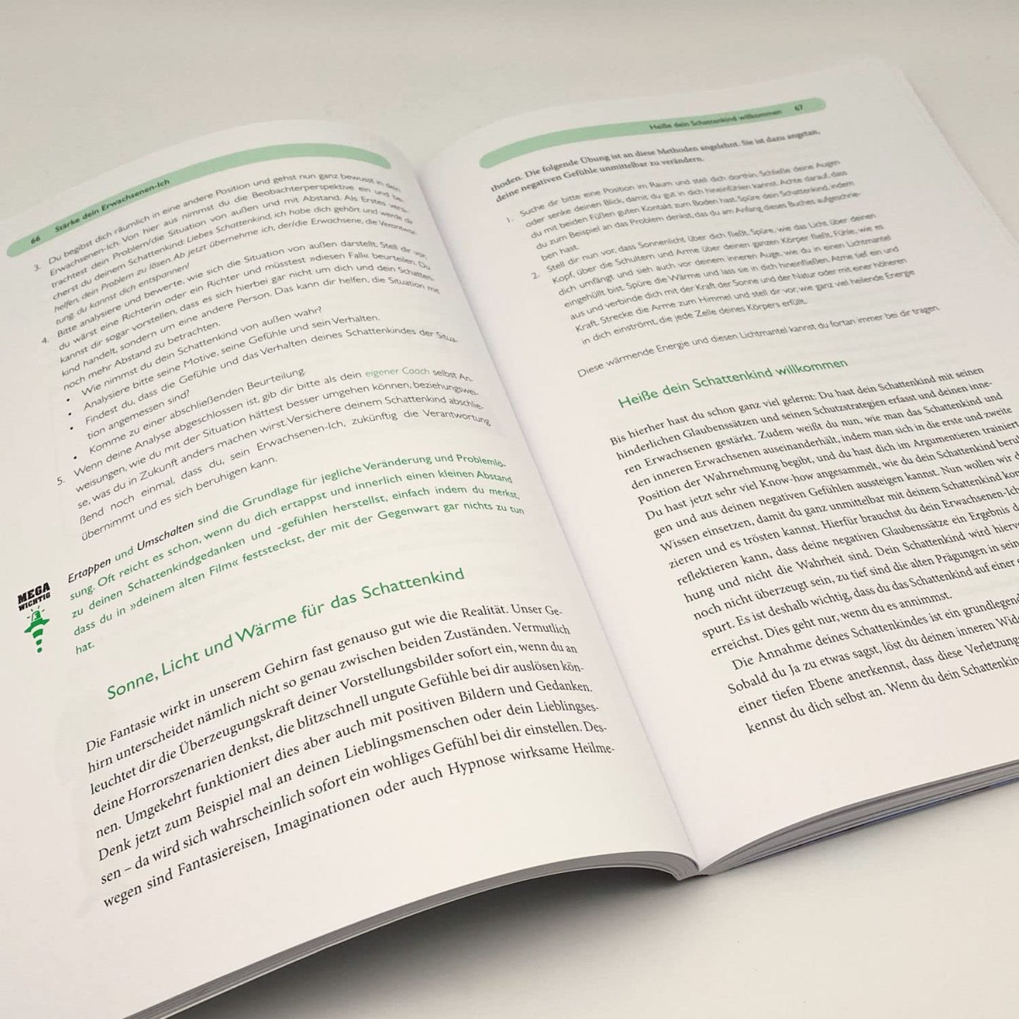 Das Kind in dir muss Heimat finden - Arbeitsbuch - The German Bookstore ZA