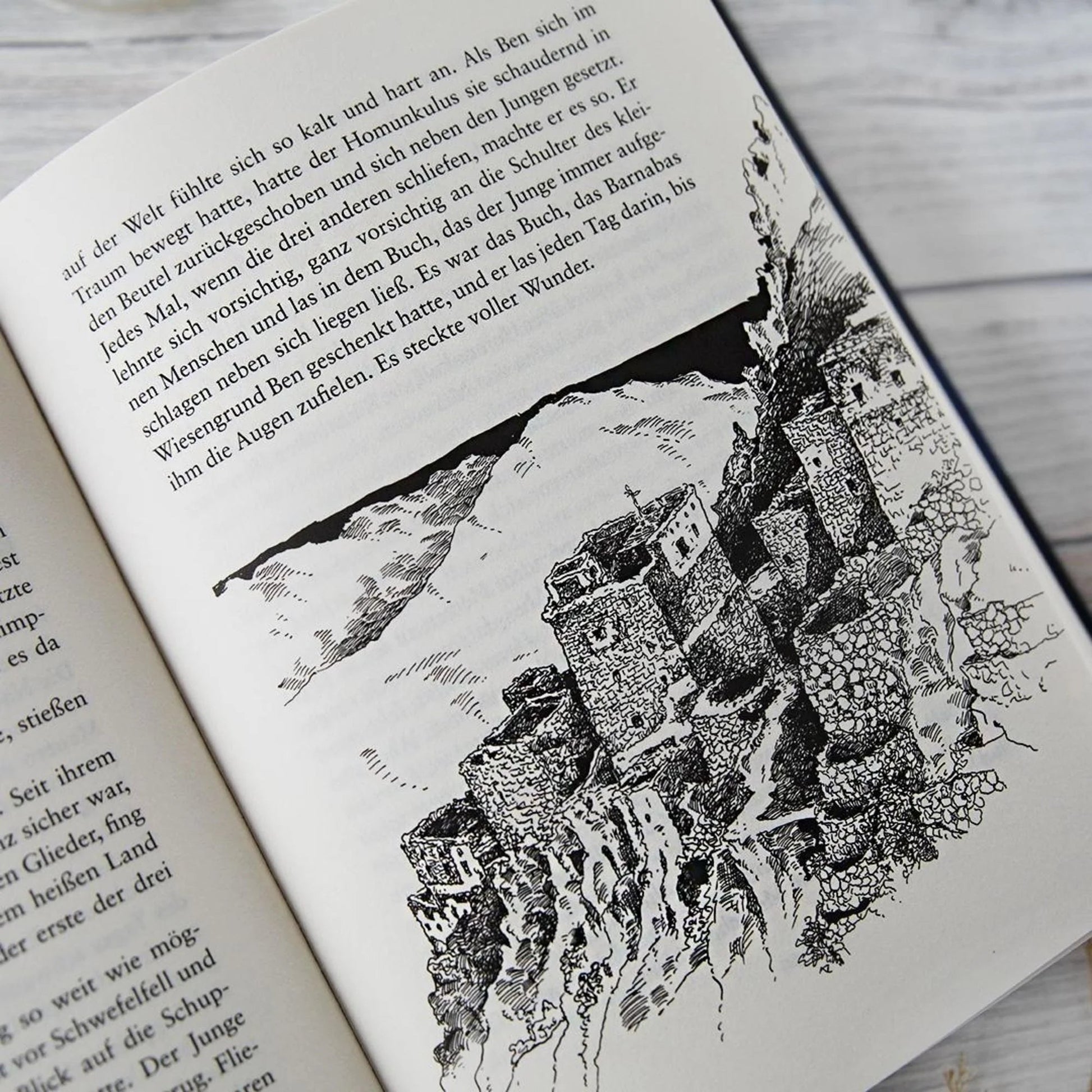 Drachenreiter (Band 1) - The German Bookstore ZA