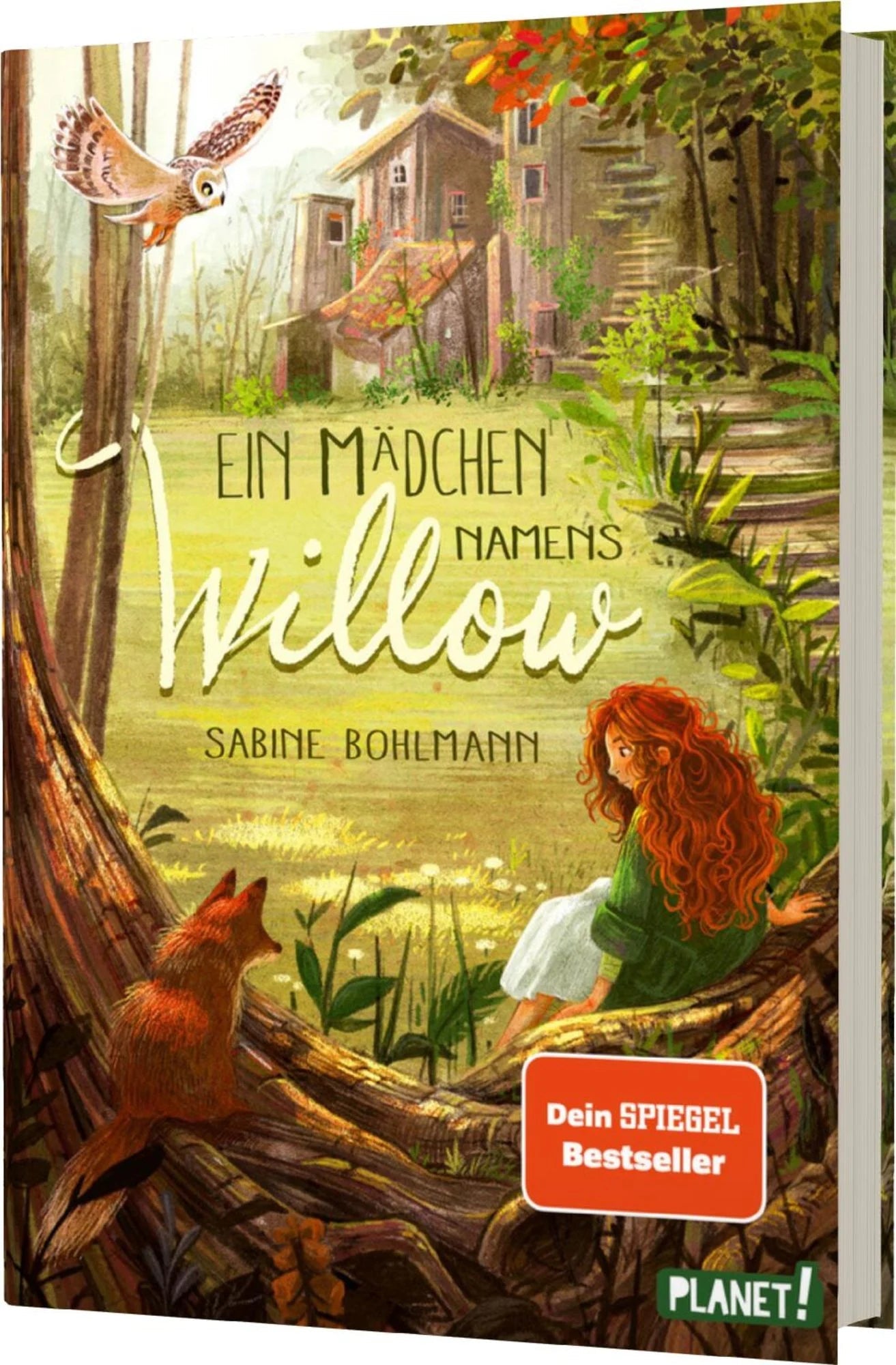 Ein Mädchen namens Willow (Band 1) - The German Bookstore ZA