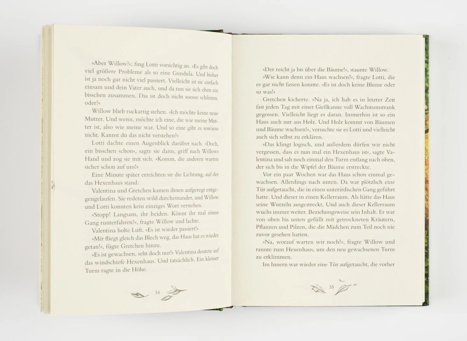 Ein Mädchen namens Willow (Band 2) - The German Bookstore ZA