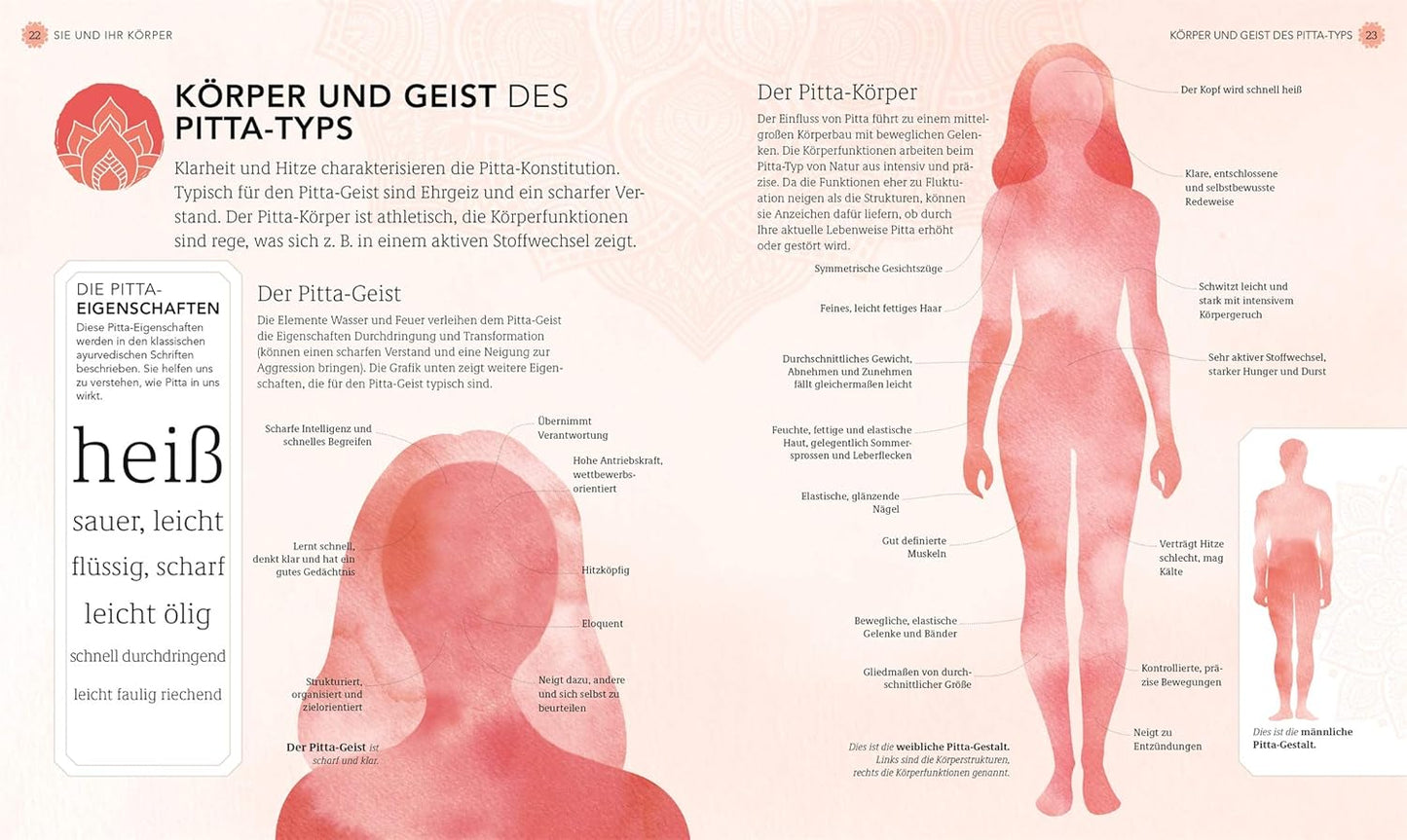 Gesund und entspannt mit Ayurveda - The German Bookstore ZA