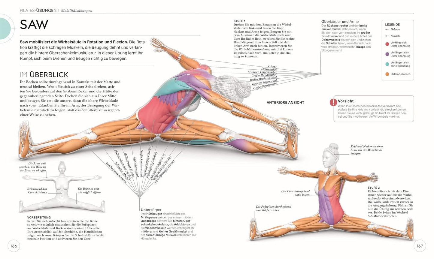 Pilates - Die Anatomie verstehen - The German Bookstore ZA