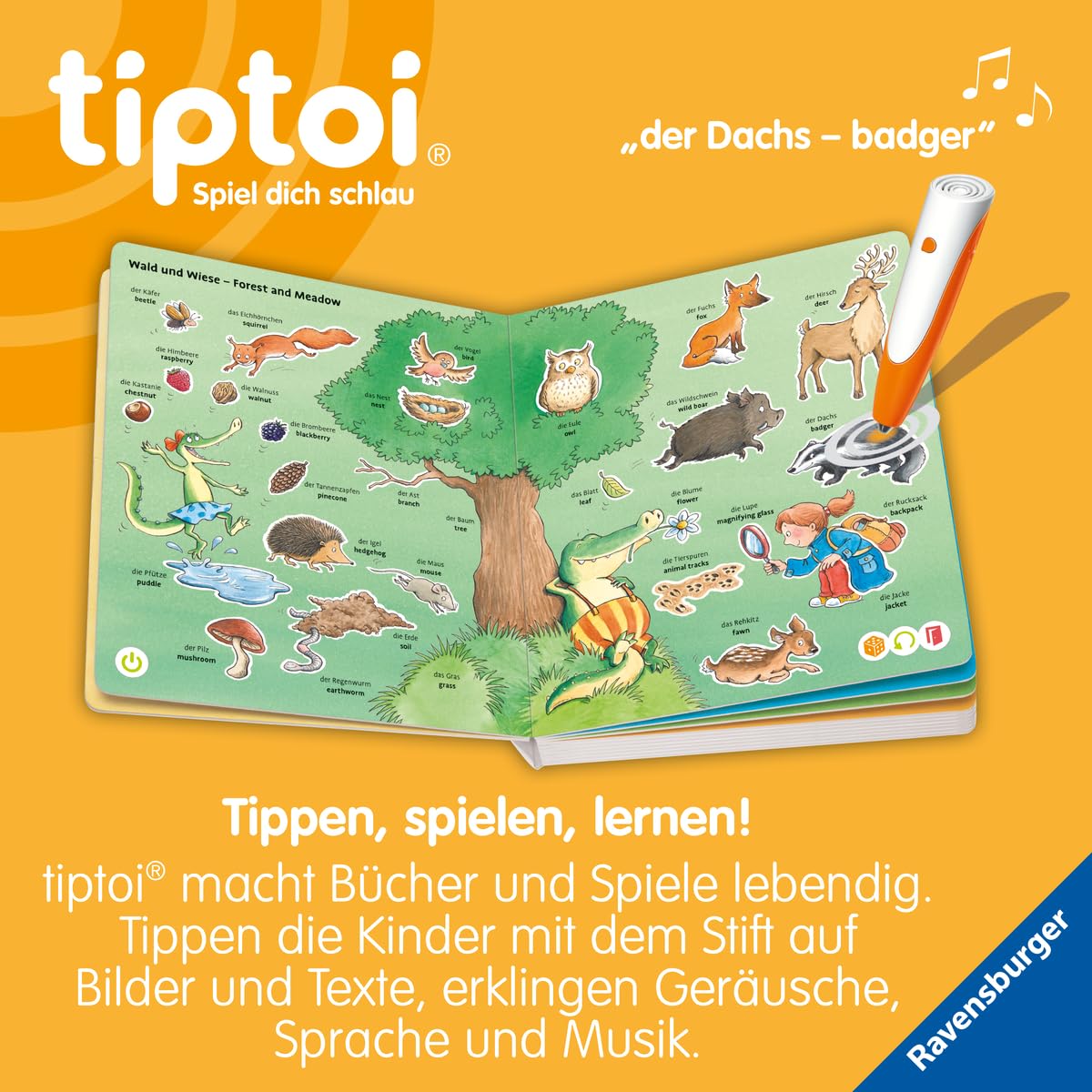 tiptoi Mein erstes Bild-Wörterbuch Deutsch-Englisch