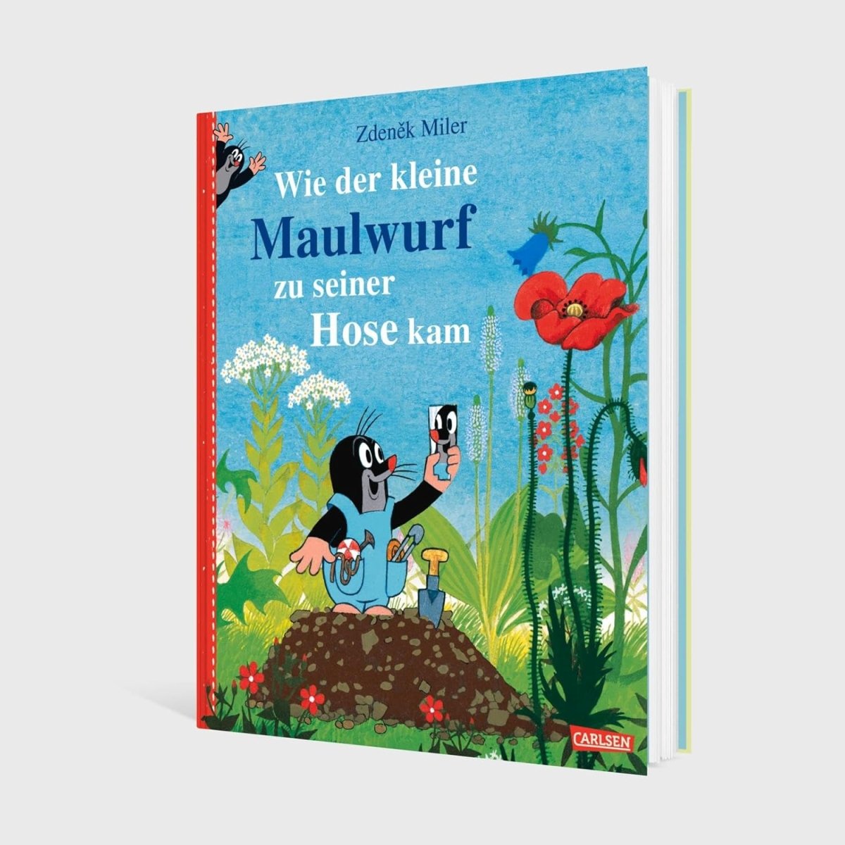 Wie der kleine Maulwurf zu seiner Hose kam - The German Bookstore ZA