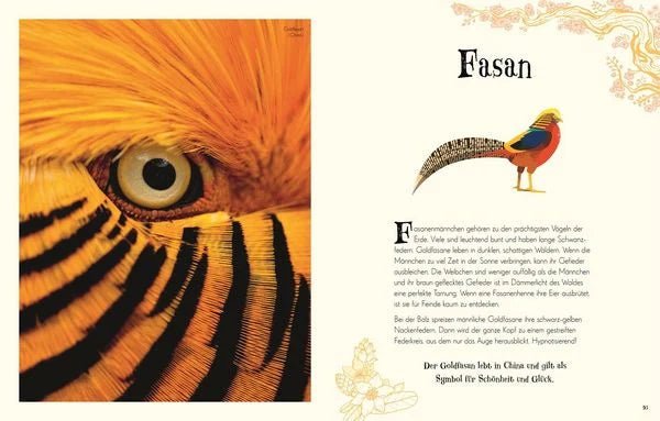 Wundervolle Welt der Tiere - The German Bookstore ZA