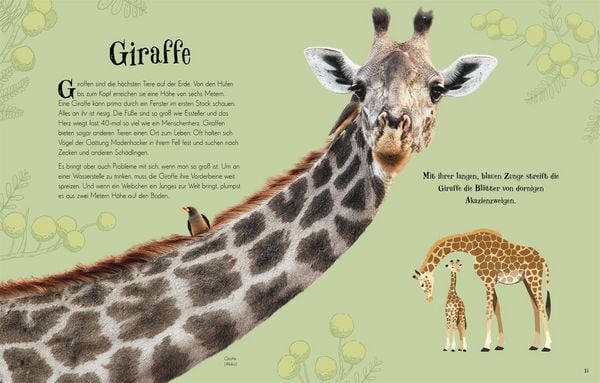 Wundervolle Welt der Tiere - The German Bookstore ZA