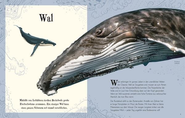 Wundervolle Welt der Tiere - The German Bookstore ZA